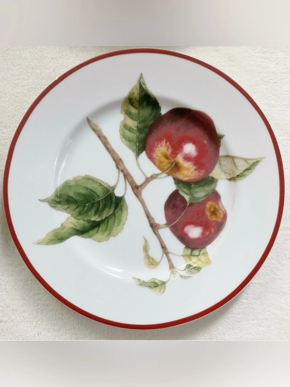 Williams Sonoma Apple Fruit Salad Dessert Plates Set 4 Made Japan 8”